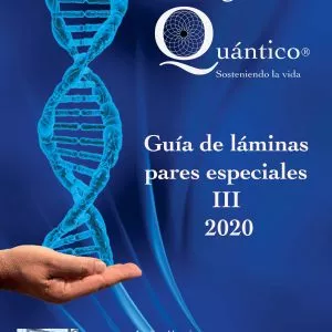 Guía láminas III (Formato físico)