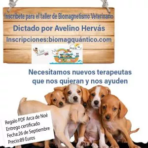 Taller Online de Biomagnetismo Veterinario + Libro de Regalo | Curso Grabado