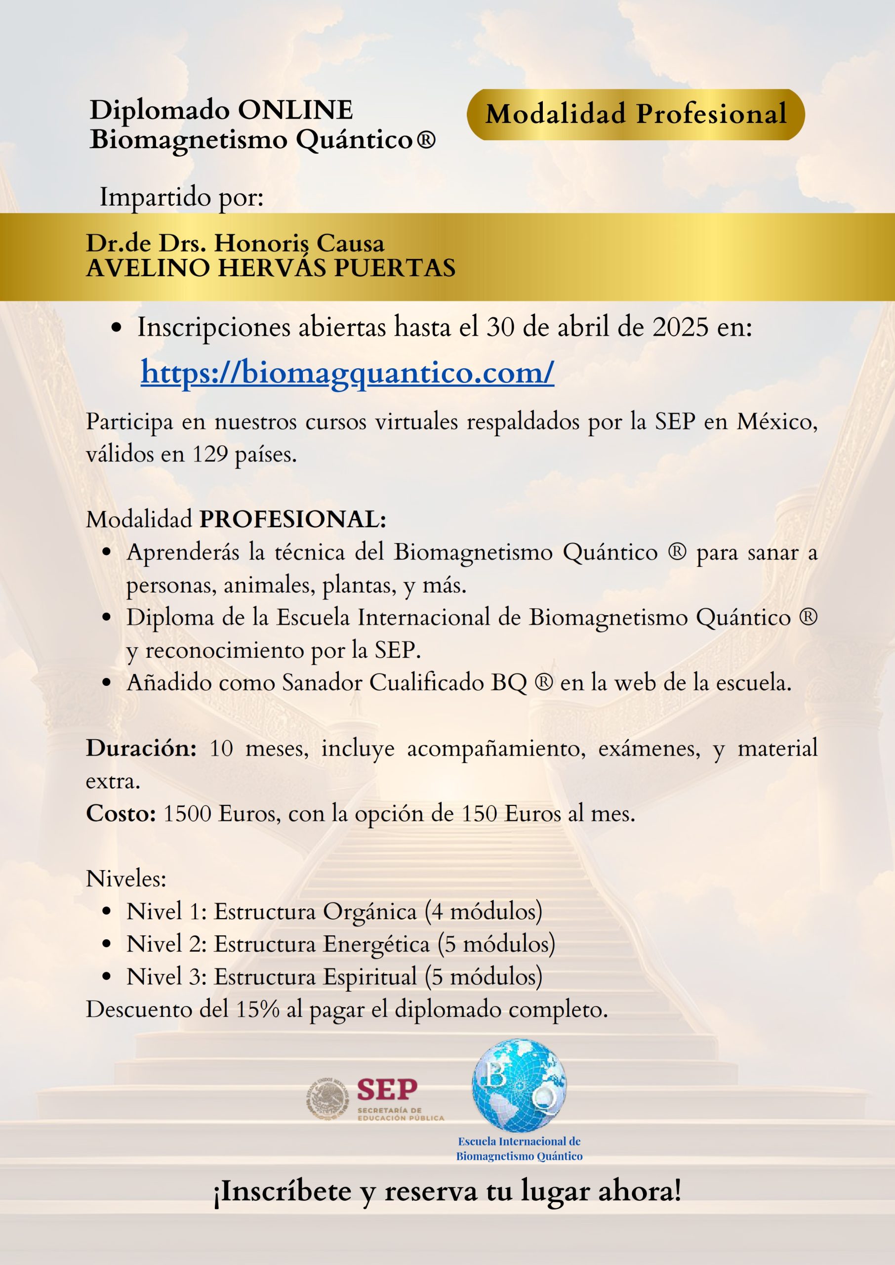 Modalidad Profesional_001