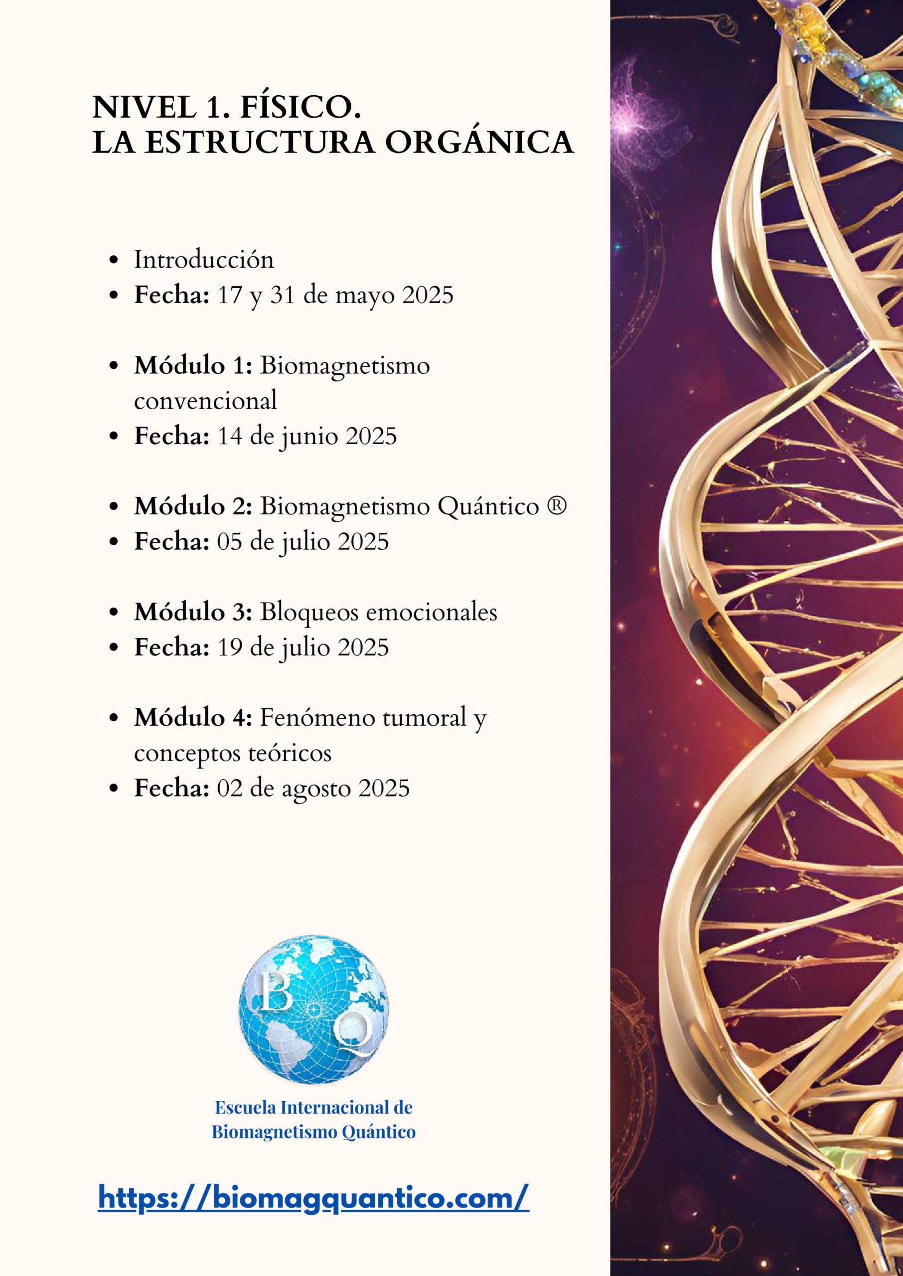 Modalidad Profesional_002