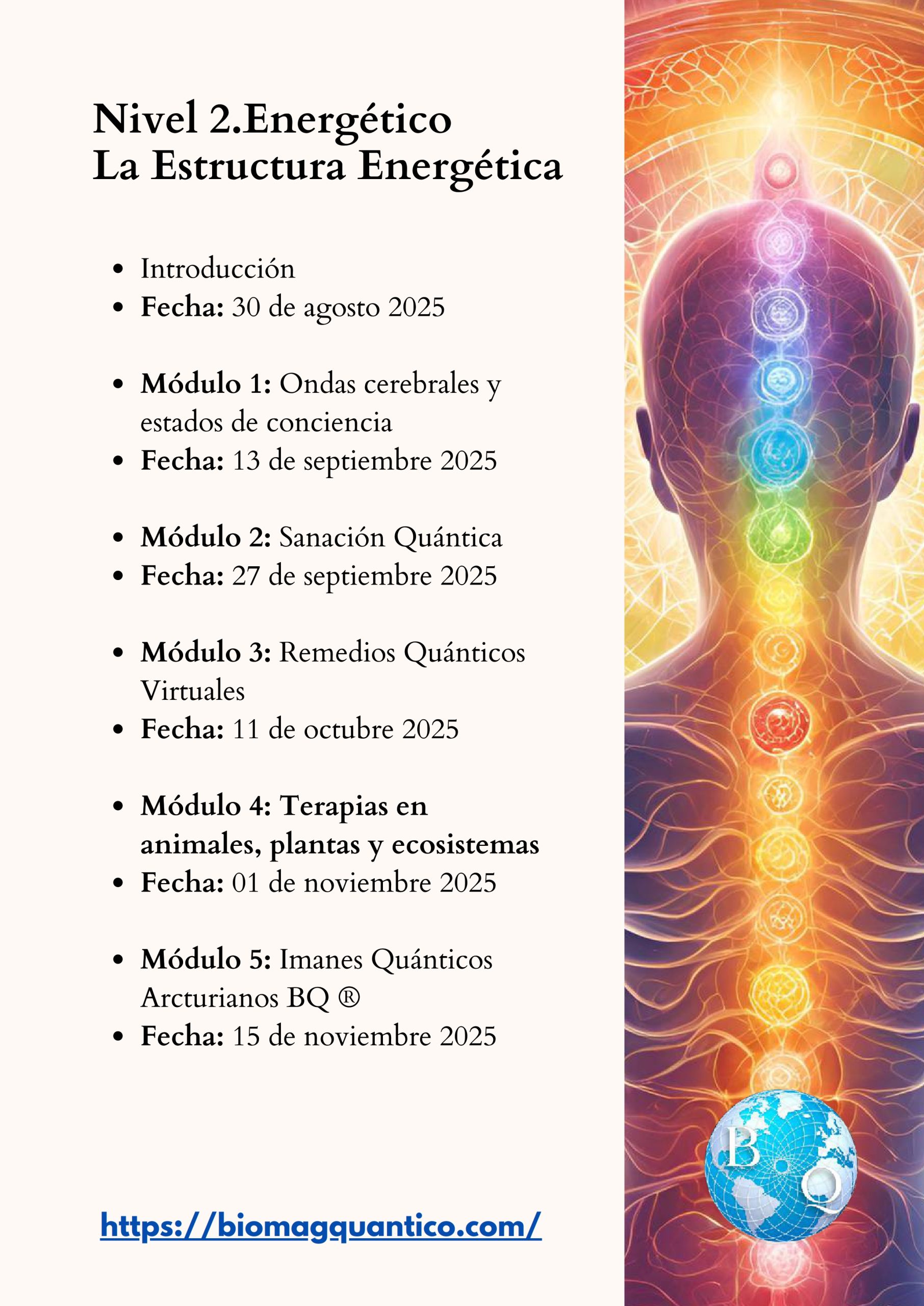 Modalidad Profesional_003