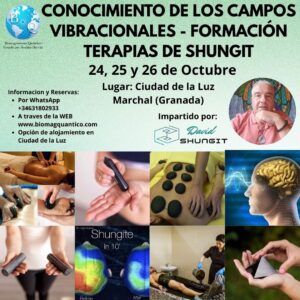 Conocimiento de los campos - formación de shungit | Presencial y Online | Próximamente (Enero) 2026 | EN LA CIUDAD DE LA LUZ (GRANADA)